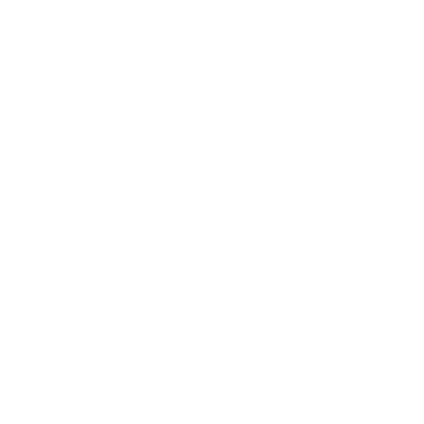 100% הצלחה